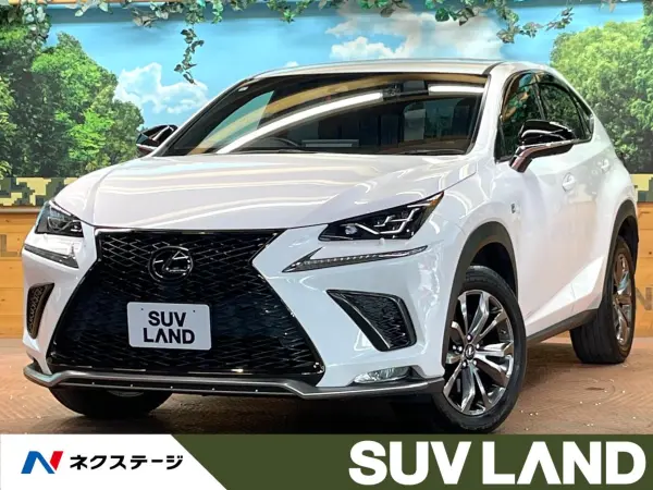 Lexus NX 300 F Sport 4WD