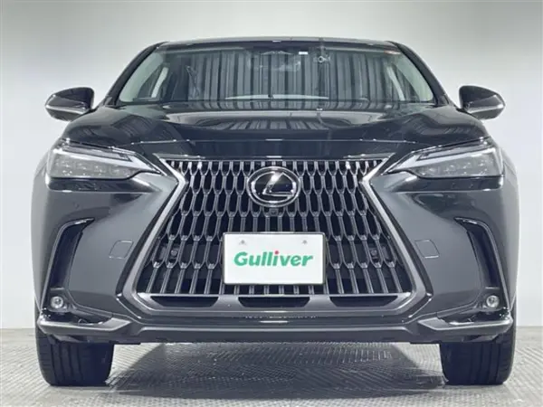 Lexus NX 350h Version L — photo 8