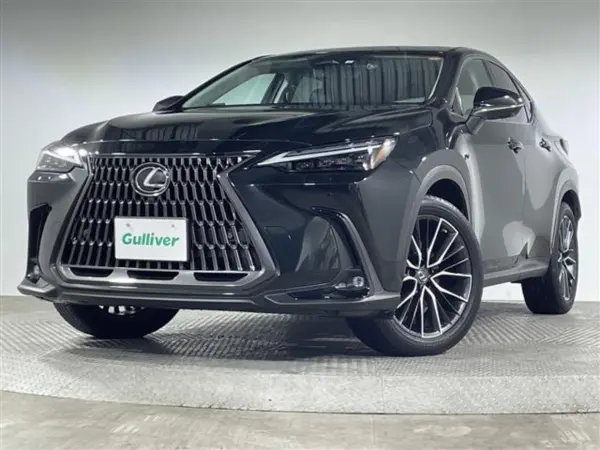 Lexus NX 350h Version L — photo 9