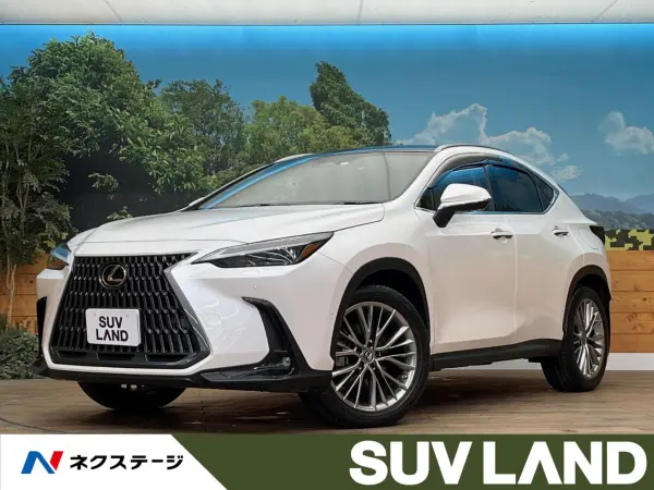 Lexus NX 350h Version L 4WD Panoramic Roof 14-inch Display Audio Surround Camera Seat Ventilation Seat Heater Memory Power Seat Non-Smoking Car Blind Spot Monitor Triple LED Headlights (Sonic Quartz)