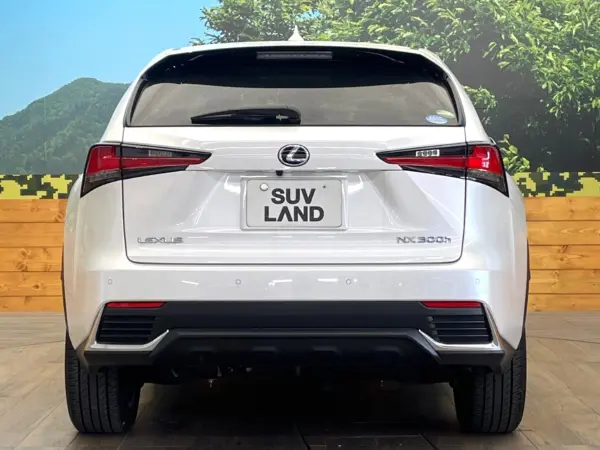 Lexus NX300h Version L Non-Smoking Car Surround View Camera (Sonic Quartz) — photo 8