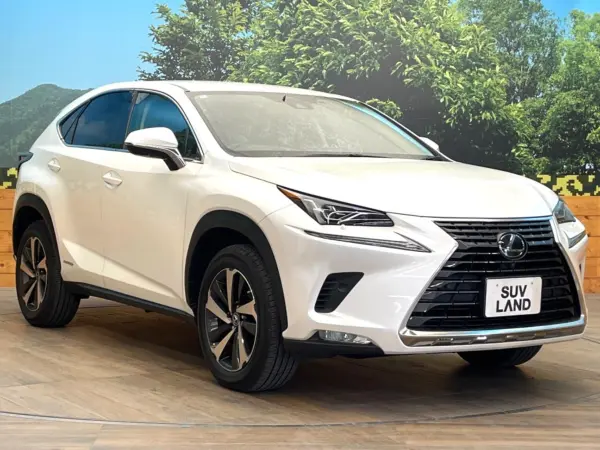 Lexus NX300h Version L Non-Smoking Car Surround View Camera (Sonic Quartz) — photo 9