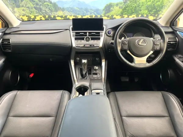 2020 Lexus Nx — photo 2