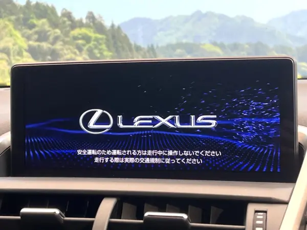 2020 Lexus Nx — photo 3