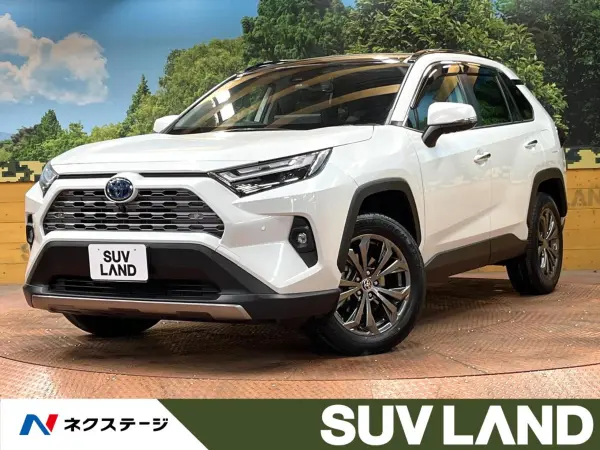 Toyota RAV4 2.5 Hybrid G E-Four 4WD — thumbnail 1
