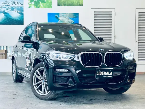 BMW X3 xDrive20d M Sport Diesel Turbo 4WD Highline P HUD ACC Genuine Navi TV 360° Genuine 19-inch AW LED Headlights Power Tailgate Wireless Charging Brown Leather Power Seats Driver Seat Memory Seat Heater Roof Rails Blind Spot Clearance Sonar (Black Sapphire Metallic) — photo 7
