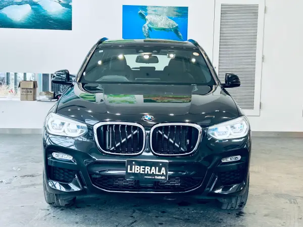 BMW X3 xDrive20d M Sport Diesel Turbo 4WD Highline P HUD ACC Genuine Navi TV 360° Genuine 19-inch AW LED Headlights Power Tailgate Wireless Charging Brown Leather Power Seats Driver Seat Memory Seat Heater Roof Rails Blind Spot Clearance Sonar (Black Sapphire Metallic) — photo 8