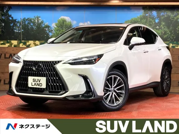 Lexus NX250 Sunroof Genuine 9.8-inch Display Around View Camera Pre-Collision System Radar Cruise Control Power Back Door Leatherette Seats Seat Heater Seat Ventilation Power Seat Genuine 18-inch Alloy (Sonic Quartz)