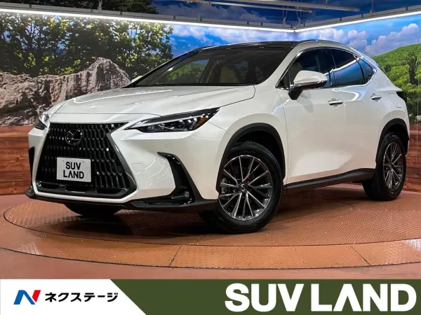 Lexus NX250 — thumbnail 1