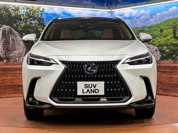 Lexus NX250 — photo 9