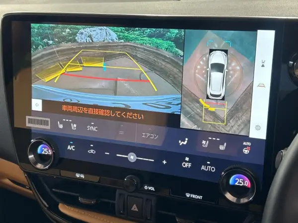 Lexus NX250 — photo 7