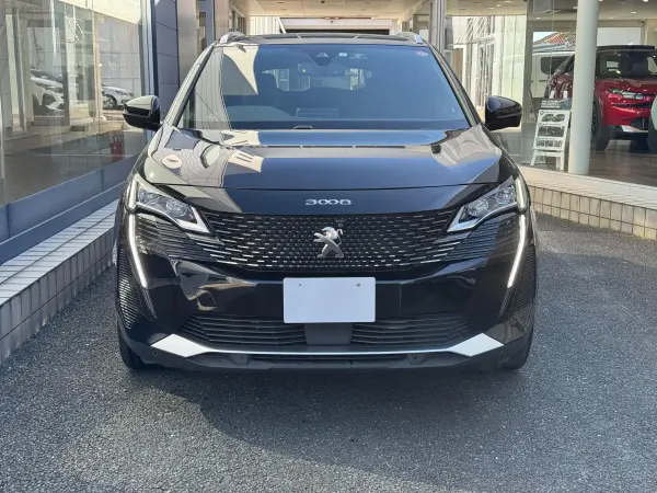 2023 Peugeot 3008 — photo 2