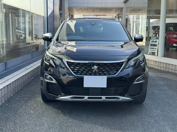 2019 Peugeot 3008 — photo 2