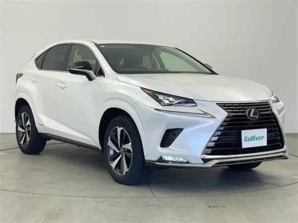 Lexus NX300h Spice & Chic