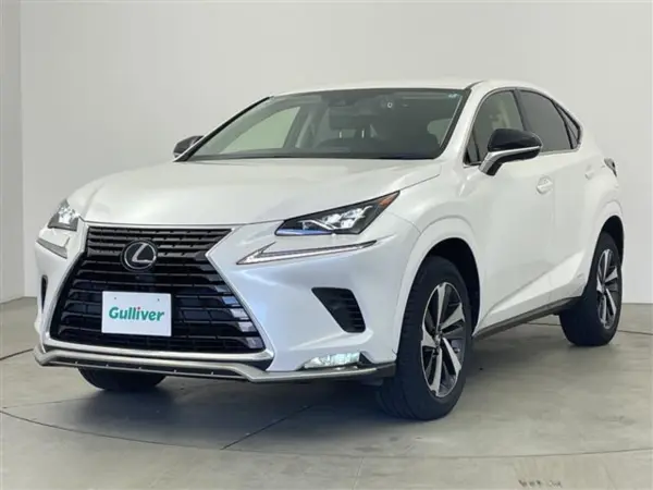 Lexus NX300h Spice & Chic — photo 8