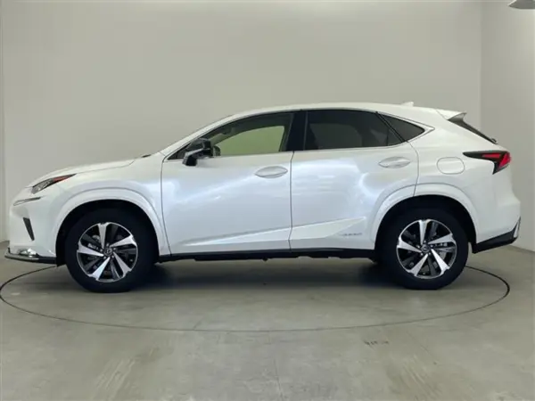 Lexus NX300h Spice & Chic — photo 9