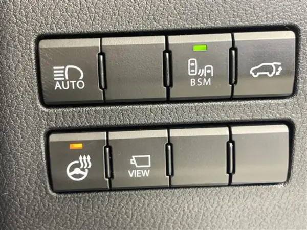 Lexus NX300h Spice & Chic — photo 7