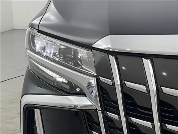 Toyota Alphard Hybrid 2.5 Executive Lounge S E-Four 4WD — photo 8