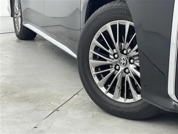 Toyota Alphard Hybrid 2.5 Executive Lounge S E-Four 4WD — photo 9