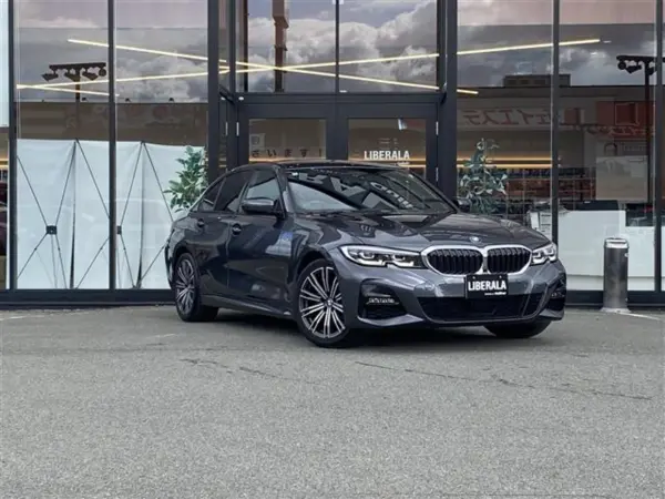 BMW 3 Series 320d xDrive M Sport Diesel Turbo 4WD — photo 8