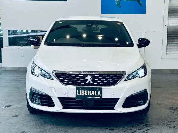 Peugeot 308GT BlueHDi Diesel Turbo — photo 8