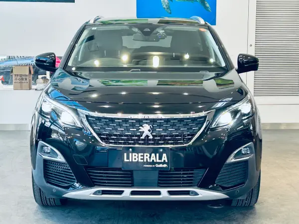 Peugeot 3008 Allure LED Package One Owner ACC Genuine Display Audio Apple CarPlay Back/Side Camera Genuine 18-inch AW LED Headlights Wireless Charging Half Leather Roof Rails Clearance Sonar BSM Smart Key Paddle Shift (Perla Nera Black) — photo 8