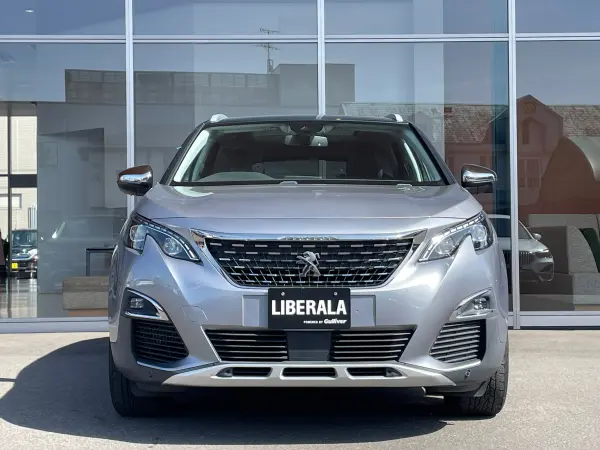 2021 Peugeot 3008 — photo 2