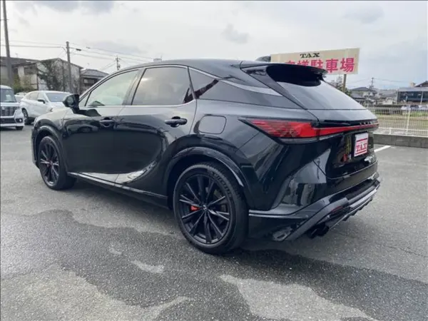 2025 Lexus Rx — photo 3