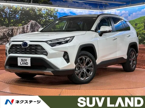Toyota RAV4 2.5 Hybrid G E-Four 4WD — thumbnail 1