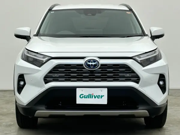 Toyota RAV4 2.5 Hybrid G E-Four 4WD — photo 8