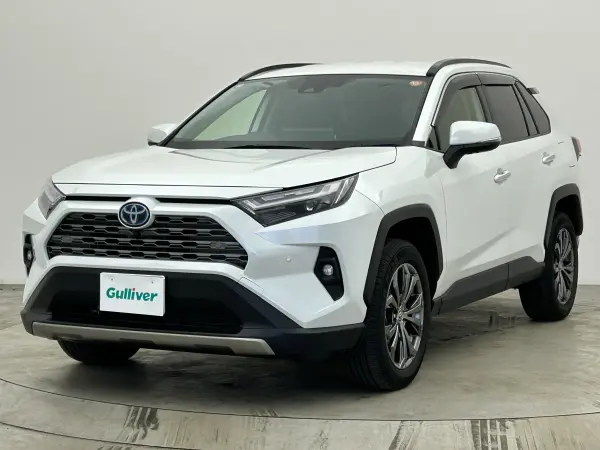Toyota RAV4 2.5 Hybrid G E-Four 4WD — photo 9