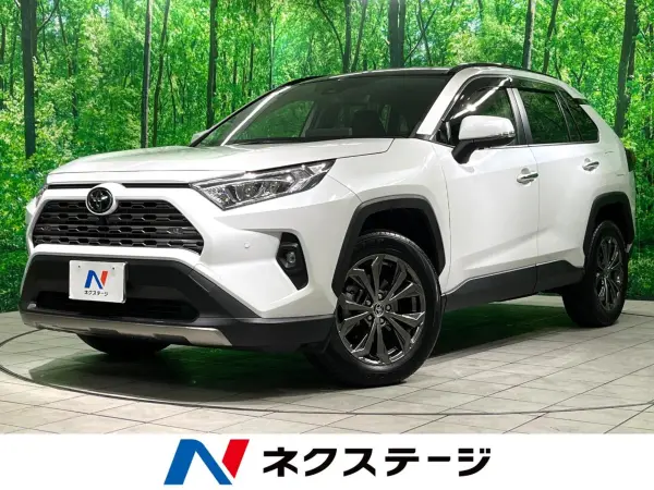 Toyota RAV4 2.0 G 4WD Non-Smoking Sunroof Genuine 10-inch DA Surround View Camera BSM Digital Inner Mirror Steering Heater Power Back Door ETC Seat Ventilation Collision Mitigation Radar Cruise (Platinum White Pearl Mica) — thumbnail 1