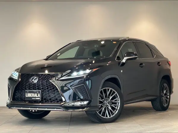 Lexus RX 300 F Sport — photo 8