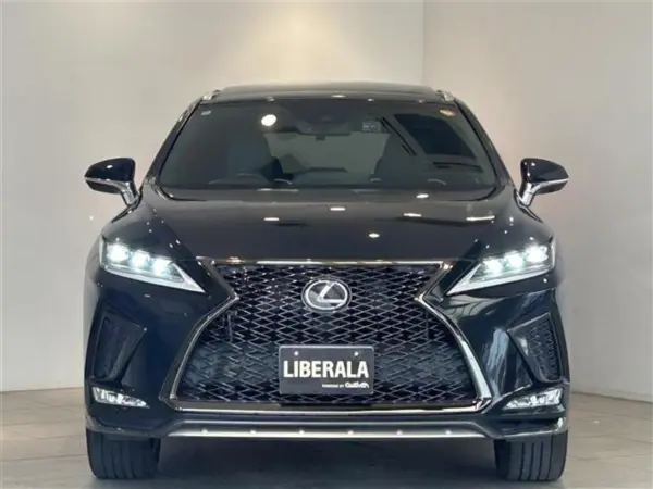 Lexus RX 300 F Sport — photo 9