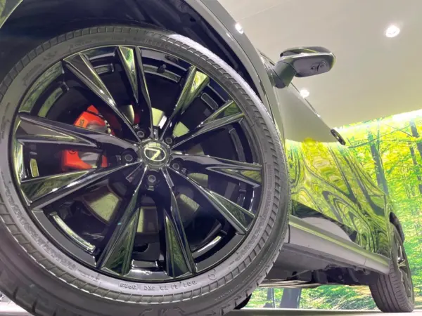 Lexus NX 350h F Sport — photo 9