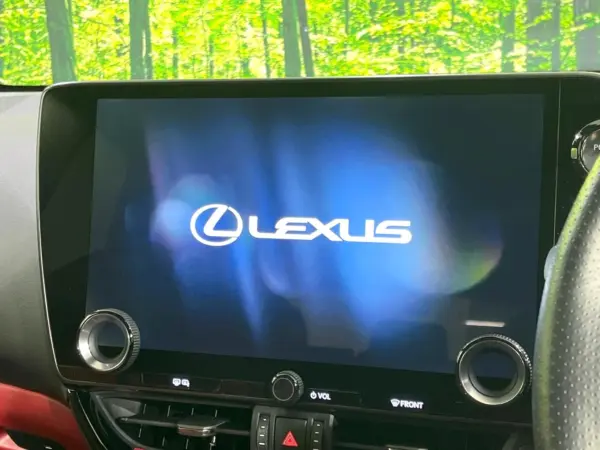 Lexus NX 350h F Sport — photo 7