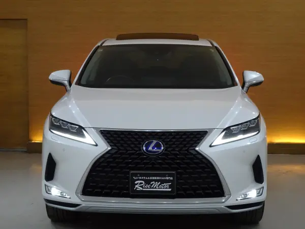 2021 Lexus Rx — photo 2