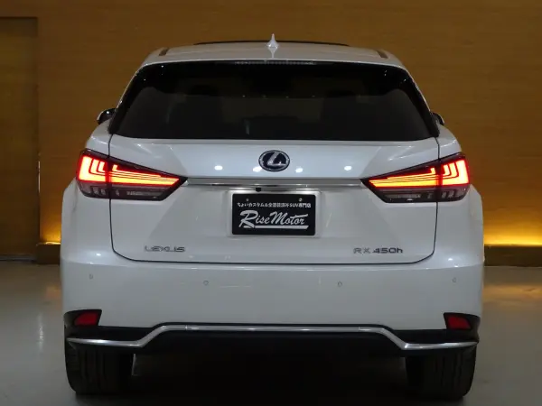 2021 Lexus Rx — photo 3