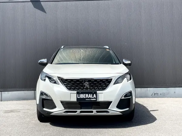2018 Peugeot 3008 — photo 9 | Tuminion Kenya