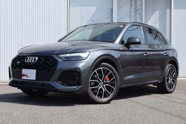 2021 Audi Sq5 — photo 2