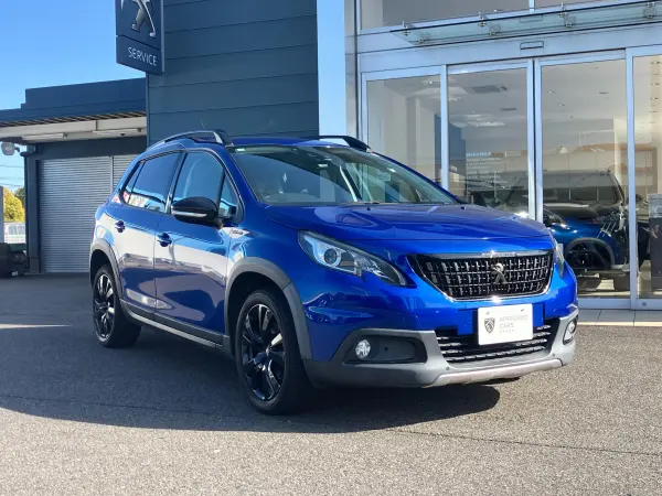 2019 Peugeot 2008 — photo 3
