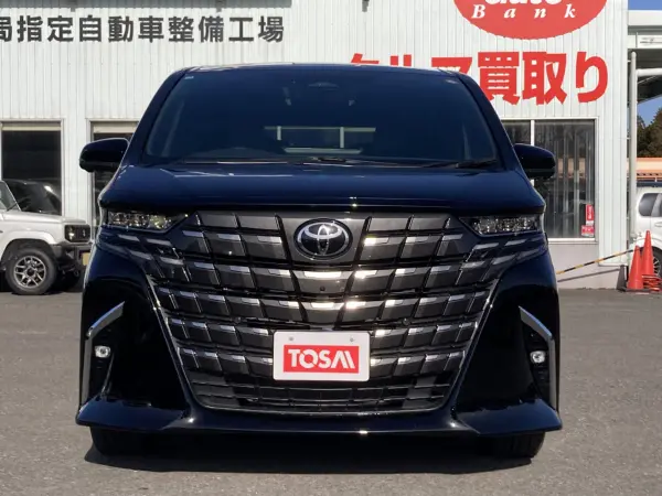 Toyota Alphard Hybrid 2.5 Z E-Four 4WD — photo 9