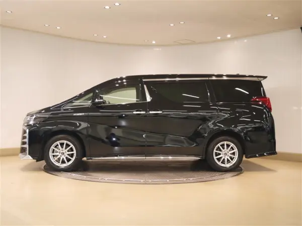 2019 Toyota Alphard — photo 2