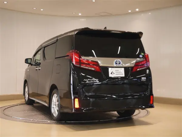 2019 Toyota Alphard — photo 3
