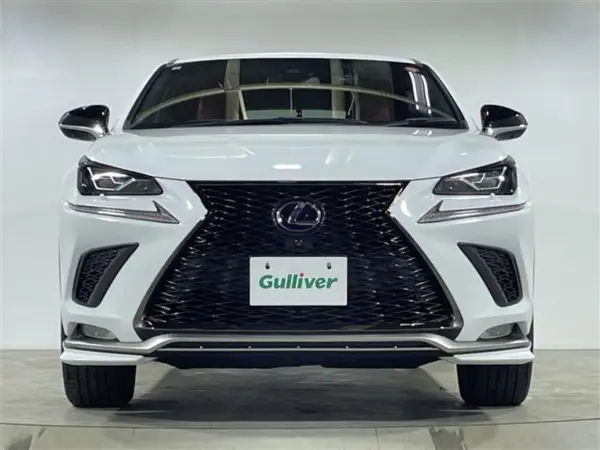 Lexus NX300h F Sport Moonroof Genuine 10.3-inch Navigation TRD Aero Premium Sound System Safety System Plus Cruise Control BSM Seat Memory Function Power Back Door Paddle Shift Aluminum Pedals ETC (White Nova Glass Flake) — photo 9