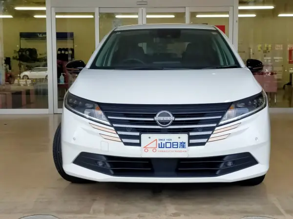 Nissan Note 1.2 X 90th Anniversary Edition with Maker Navigation, Around View Monitor, Leather-like Seats (Pearl White) — photo 8