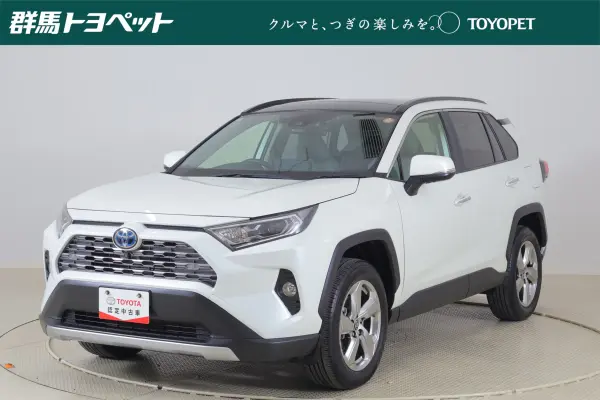 Toyota RAV4 2.5 Hybrid G E-Four 4WD Panorama Roof Pre-Collision System 9-inch DA Navi Digital Terrestrial TV 360 Camera BSM Radar Cruise Lane Departure Alert Clearance Sonar Seat Heater & Cooler Steering Heater Front/Rear Dashcam Power Back Door (White Pearl Crystal Shine)