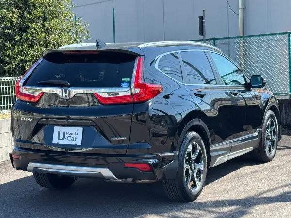 2019 Honda Cr-v — photo 2