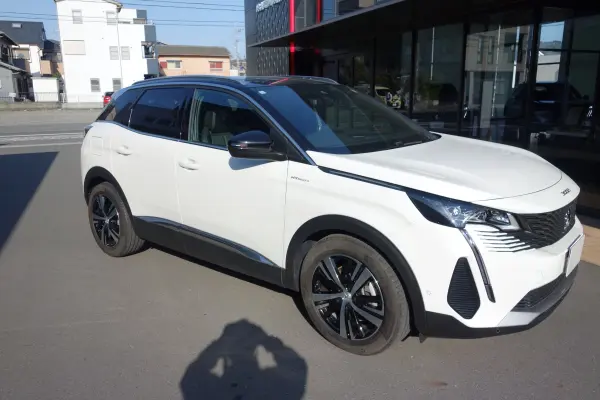 2022 Peugeot 3008 — photo 2
