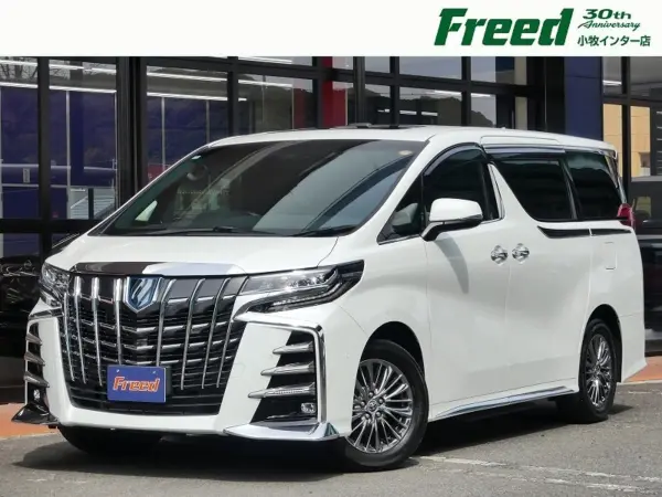 2023 Toyota Alphard — photo 1